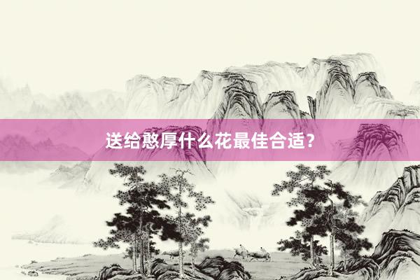 送给憨厚什么花最佳合适？